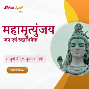 महामृत्युंजय जप एवं रुद्राभिषेक