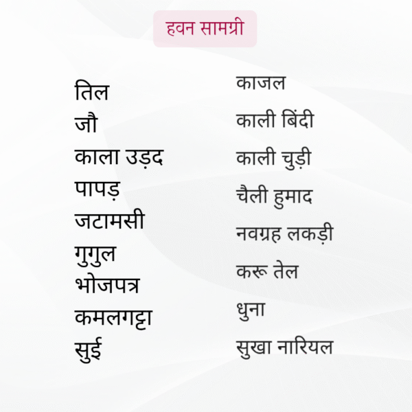 Rudhrabhishek - Image 3